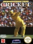Nintendo  NES&nbsp; - &nbsp;International Cricket